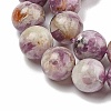 Natural Lepidolite/Purple Mica Stone Beads Strands G-G160-A01-02-4