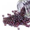 TOHO Round Seed Beads SEED-JPTR11-0425-2
