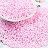 Baking Paint Glass Seed Beads SEED-A033-05K-1