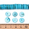 Natural Freshwater Shell Beads Strands SHEL-N037-03A-03-4