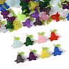 50Pcs Transparent Acrylic Pendants PALLOY-FS00043-05-2