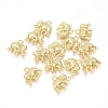 Electroplated Alloy Charms PALLOY-G267-02G-1
