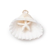10Pcs Summer Beach Natural Shell Pendants PALLOY-JF02648-01-S-1
