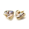 Natural Paua Shell & Epoxy Resin Charms KK-E794-02G-05-2
