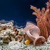 8Pcs 2 Style Transparent Acrylic Aquarium Shrimp Feeding Dishes AJEW-GO0001-01-6