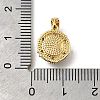 Brass Micro Pave Cubic Zirconia Charms LS-KK-S517-03G-3