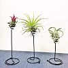 Iron Spiral Flower Stand TOOL-GA0001-04-5
