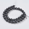 Natural Larvikite Beads Strands G-G542-10mm-27-2