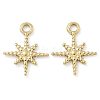Ion Plating(IP) 304 Stainless Steel Charms STAS-U032-14G-1