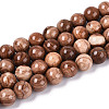 Natural Wood Lace Stone Wooden Jasper Beads Strands G-T143-30A-03-1