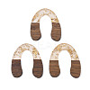 Transparent Resin & Waxed Walnut Wood Pendants RESI-Q211-01A-1