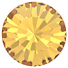 Preciosa® MAXIMA Crystal Round Stones X-PRC-RBSS29-10070-2
