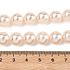 Electroplated Shell Pearl Beads Strands BSHE-G041-10mm-04-2