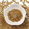 Glass Seed Beads SEED-H002-A-A622-2