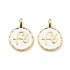 Brass Enamel Charms X-KK-G416-57G-01-1