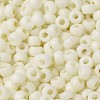 MIYUKI Round Rocailles Beads X-SEED-G008-RR2021-3