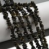 Natural Golden Sheen Obsidian Beads Strands G-G0003-B46-2