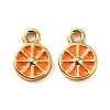 Brass Enamel Pendants LS-KK-P207-017G-RS-2