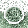 Picasso Baking Paint Glass Seed Beads SEED-N007-35D-2