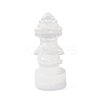 Natural Selenite Figurines DJEW-Q006-01C-1