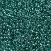 MIYUKI Round Rocailles Beads X-SEED-G008-RR2445-3