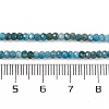 Natural Apatite Beads Strands X-G-F770-D09-02B-5