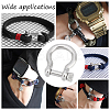 10Pcs 304 Stainless Steel D-Ring Anchor Shackle Clasps STAS-UN0039-91-6