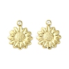 304 Stainless Steel Charms STAS-L269-019G-2