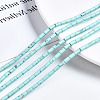 Synthetic Turquoise Beads Strands G-S366-076B-4