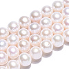 Natural Cultured Freshwater Pearl Beads Strands PEAR-N016-09C-3