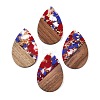 Transparent Resin & Walnut Wood Big Pendants RESI-T058-05H-1