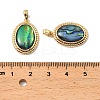 Natural Paua Shell Oval Pendants KK-G538-24G-3