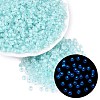 FGB Grade A Transparent Glass Seed Beads SEED-Q040-03A-02-1