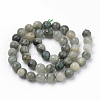 Natural Green Line Jasper Beads Strands LS-G-Q462-102-6mm-2