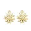 Alloy Charms AL-CBA1FD3-24G-02-2