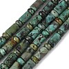Natural African Turquoise(Jasper) Beads Strands G-L585-B03-01-2
