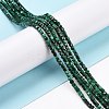 Natural Malachite Beads Strands G-C009-B24-2