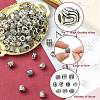 100Pcs 10 Styles Tibetan Style Alloy European Beads FIND-CJ0003-73-3