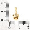 Brass Micro Pave Cubic Zirconia Charms KK-D356-05B-G-3