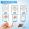 Natural Spiral Shell DIY Decorative Craft Material SHEL-SP0001-02-2