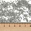 Electroplate Glass Seed Beads SEED-H003-10E-4