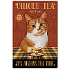 Vintage Metal Tin Sign AJEW-WH0189-031-1