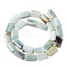 Natural Amazonite Beads Strands G-N0326-72-2