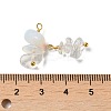 Opalite Pendants KK-P242-31G-02-3