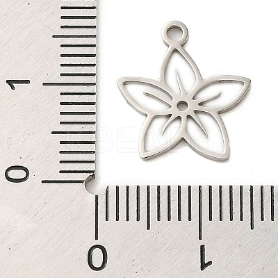 Non-Tarnish 304 Stainless Steel Charms STAS-S123-01P-09-1