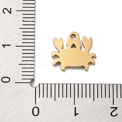 Ion Plating(IP) 201 Stainless Steel Charms STAS-A101-01A-03G-1