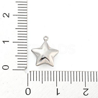 Non-Tarnish 304 Stainless Steel Charms X-STAS-P333-08P-1