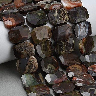 Natural Wealth Stone Beads Strands G-C285-A09-01-1