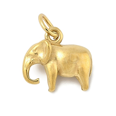 304 Stainless Steel Charms STAS-P391-01C-G-1