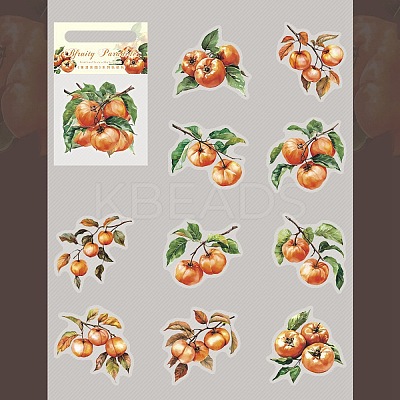 10Pcs Fruit PET Self-Adhesive Stickers DIY-K074-08F-1